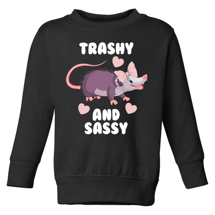 Trashy And Sassy Toddler Sweatshirt