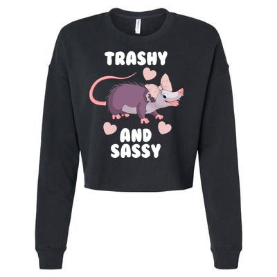 Trashy And Sassy Cropped Pullover Crew