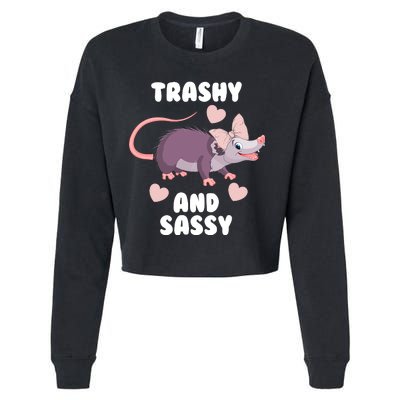 Trashy And Sassy Cropped Pullover Crew