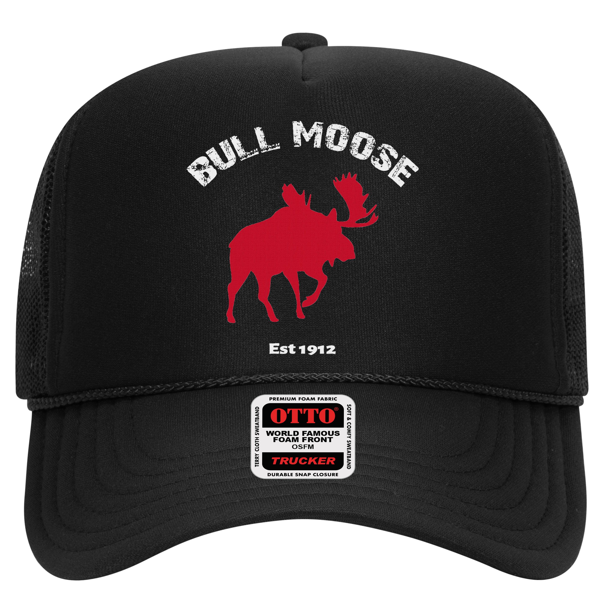 Theodore Roosevelt Bull Moose Party Hat