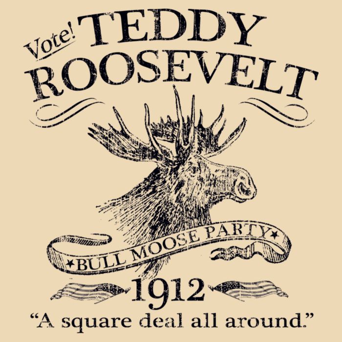 Teddy Roosevelt Bull Moose Party 1912 Presidential Campaign Zip Tote Bag