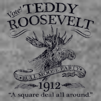 Teddy Roosevelt Bull Moose Party 1912 Presidential Campaign Tall Hoodie