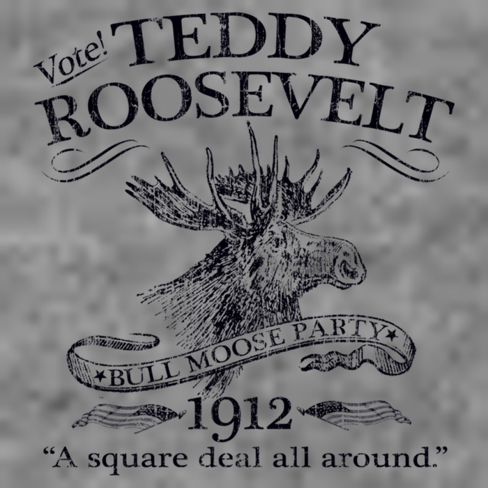 Teddy Roosevelt Bull Moose Party 1912 Presidential Campaign Tall Hoodie
