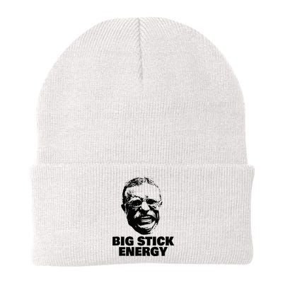 Teddy Roosevelt Big Stick Theodore President Beanie