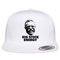 Teddy Roosevelt Big Stick Theodore President Flatbill Hat