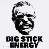 Teddy Roosevelt Big Stick Theodore President Flatbill Hat