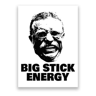 Teddy Roosevelt Big Stick Theodore President Poster