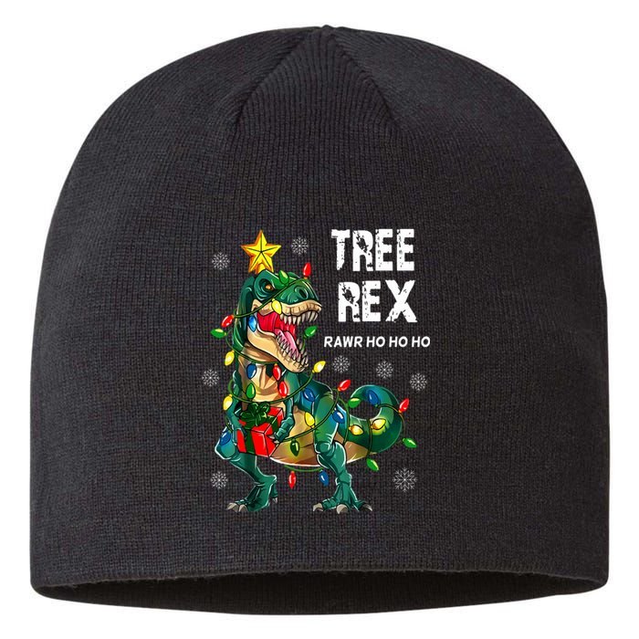 Tree Rex Christmas Tree Dinosaur Costume For Christma Sustainable Beanie