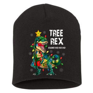 Tree Rex Christmas Tree Dinosaur Costume For Christma Short Acrylic Beanie