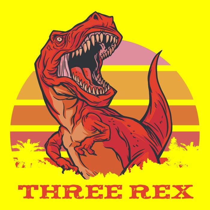 Three Rex Dinosaur Birthday Womens T-Shirt