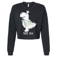 Tree Rex Cropped Pullover Crew