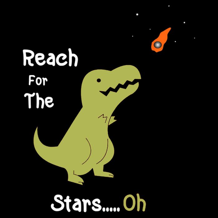 T-Rex Reach For The Stars Oh Dinosaur Dino Cool Cute Funny 16 in Basic Backpack