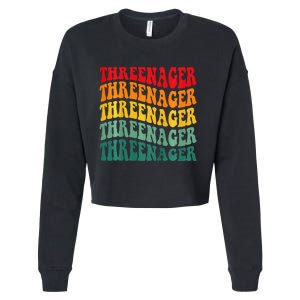 Threenager Retro Groovy Third Bday 3th Birthday Cropped Pullover Crew