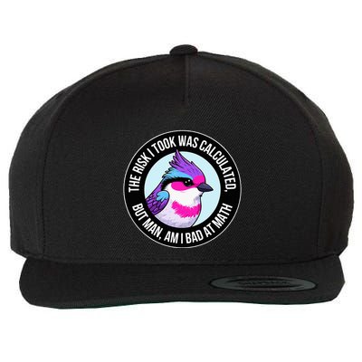 The Risk I Took Was Calculated But Man Am I Bad At Math Wool Snapback Cap