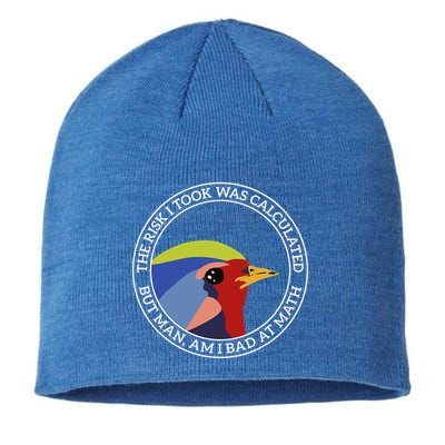 The Risk I Took Was Calculated But Man Am I Bad At Math Sustainable Beanie
