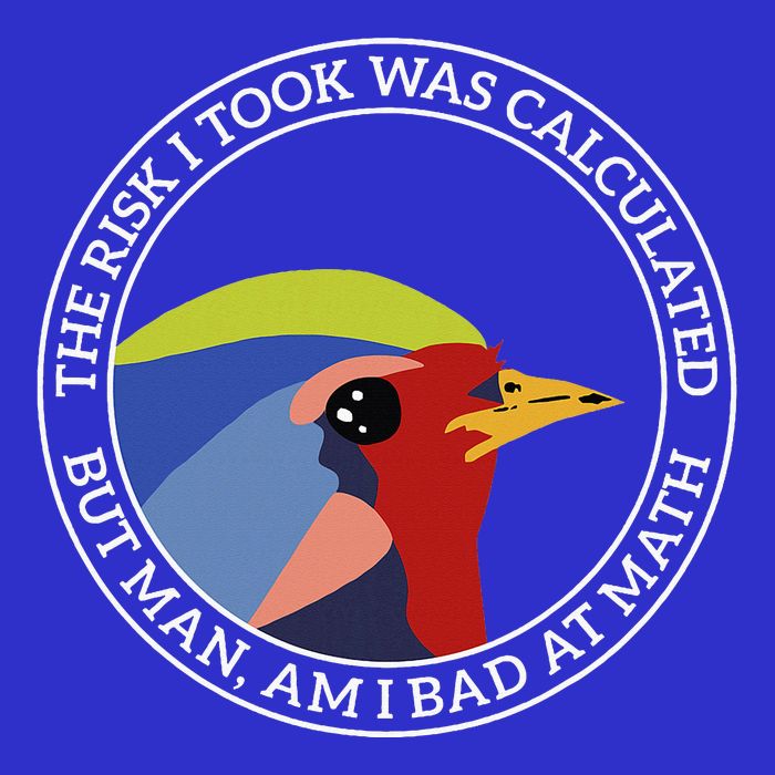 The Risk I Took Was Calculated But Man Am I Bad At Math Premium T-Shirt