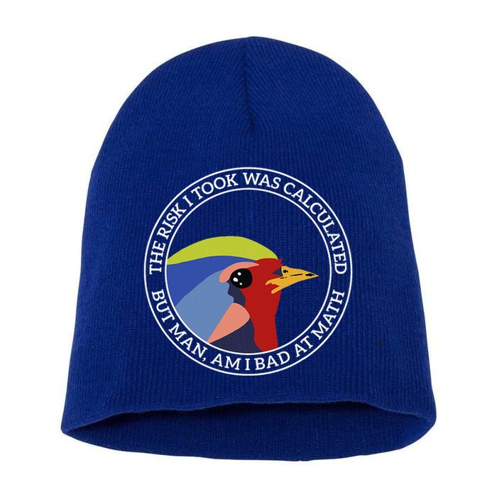 The Risk I Took Was Calculated But Man Am I Bad At Math Short Acrylic Beanie