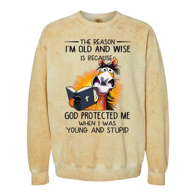 The Reason IM Old And Wise Is Because God Protected Me Colorblast Crewneck Sweatshirt