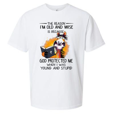 The Reason IM Old And Wise Is Because God Protected Me Sueded Cloud Jersey T-Shirt