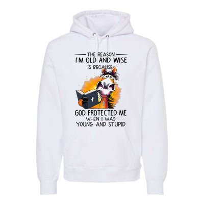 The Reason IM Old And Wise Is Because God Protected Me Premium Hoodie