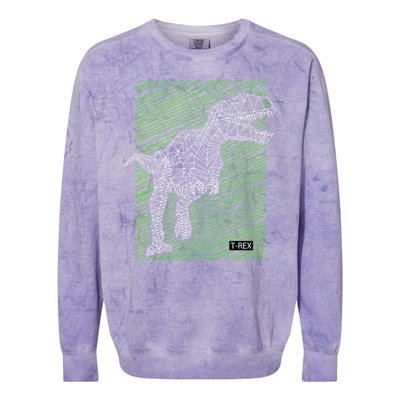 T Rex Illustration Colorblast Crewneck Sweatshirt