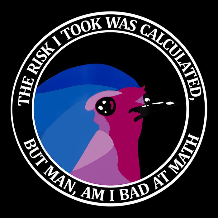 The Risk I Took Was Calculated But Man Am I Bad At Math T-Shirt
