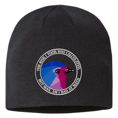 The Risk I Took Was Calculated But Man Am I Bad At Math Sustainable Beanie