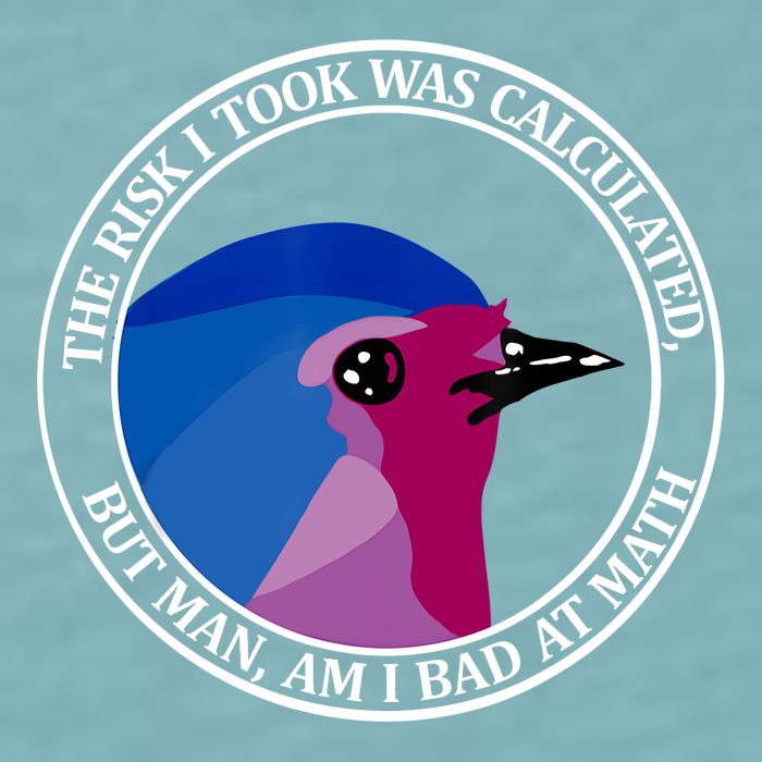 The Risk I Took Was Calculated But Man Am I Bad At Math Sueded Cloud Jersey T-Shirt