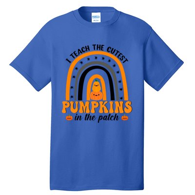 Teacher Rainbow I Teach The Cutest Pumpkins In The Patch Gift Tall T-Shirt