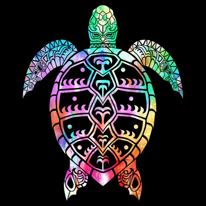 Tribal Colorful Turtle Ladies Long Sleeve Shirt