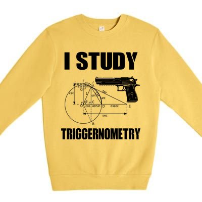 Triggernometry Pistol Premium Crewneck Sweatshirt