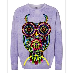 Trippy Big Eyed Owl Colorblast Crewneck Sweatshirt