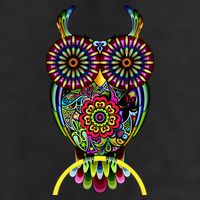 Trippy Big Eyed Owl 11oz C Handle Ceramic Mug