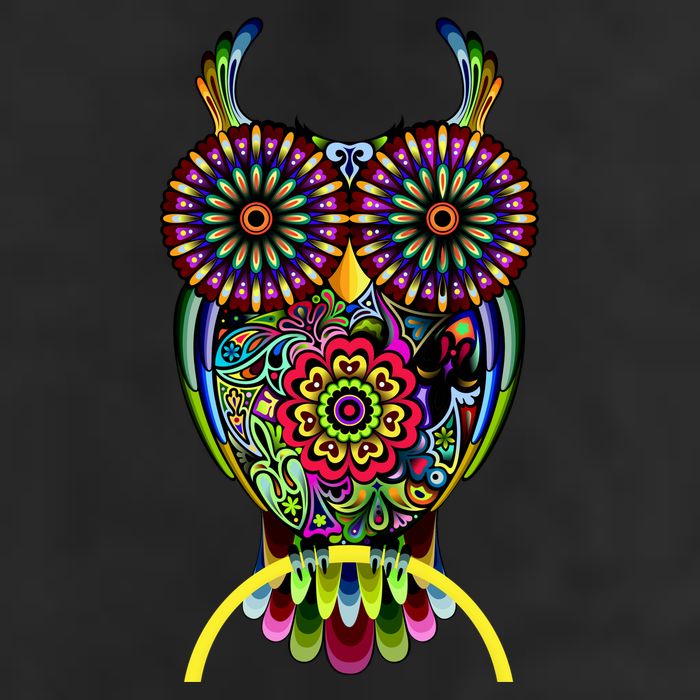 Trippy Big Eyed Owl 11oz C Handle Ceramic Mug