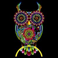 Trippy Big Eyed Owl Ladies Essential Flowy Tank