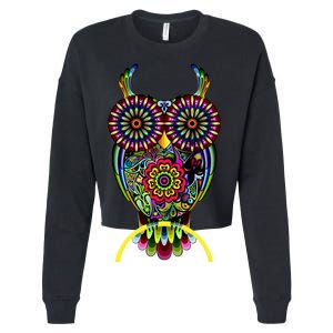 Trippy Big Eyed Owl Cropped Pullover Crew