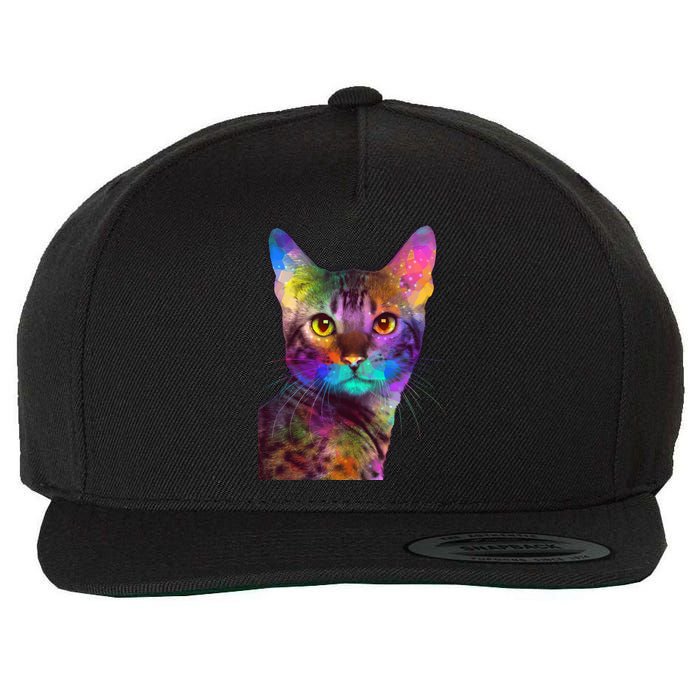 Trippy Colorful Cat Wool Snapback Cap