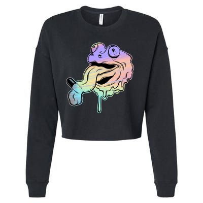 Trippy Frog Cropped Pullover Crew