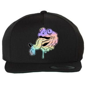 Trippy Frog Wool Snapback Cap