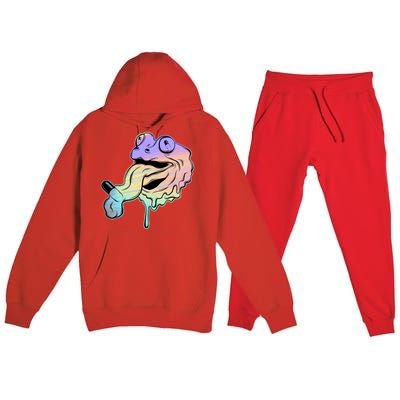 Trippy Frog Premium Hooded Sweatsuit Set