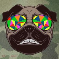 Trippy Hypnotized Pug Legacy Tie Dye Trucker Hat