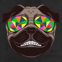 Trippy Hypnotized Pug Cool Comfort Performance Bucket Hat
