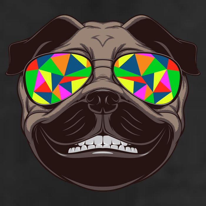Trippy Hypnotized Pug Cool Comfort Performance Bucket Hat