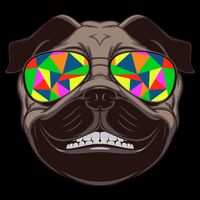 Trippy Hypnotized Pug Drawstring Bag