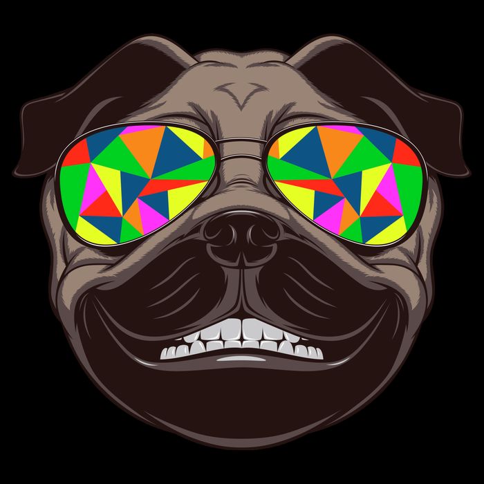 Trippy Hypnotized Pug 16 in Basic Backpack