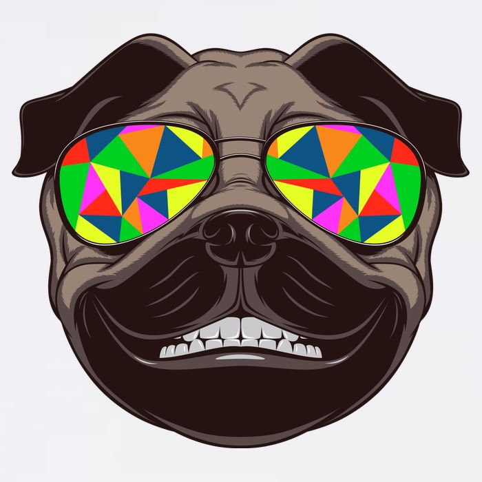 Trippy Hypnotized Pug Garment-Dyed Sweatshirt