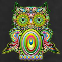 Trippy Owl 7 Panel Mesh Trucker Snapback Hat