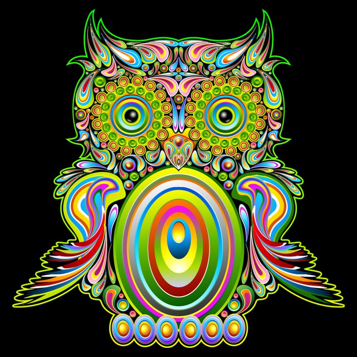 Trippy Owl Cooling Performance Long Sleeve Crew
