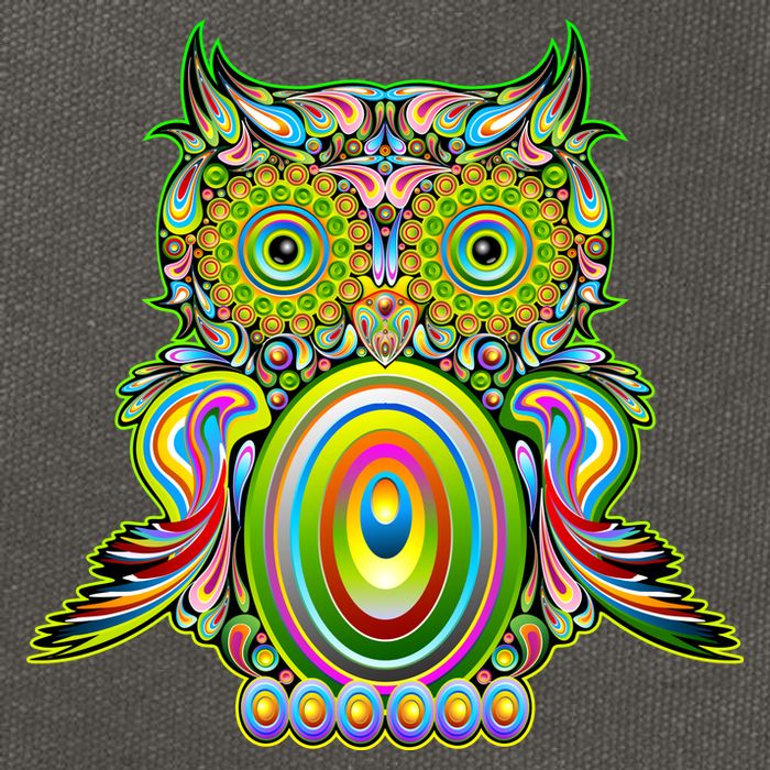 Trippy Owl Cotton Canvas Backpack
