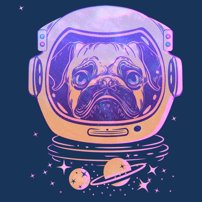 Trippy Space Colors Astronaut Pug Dog Womens T-Shirt